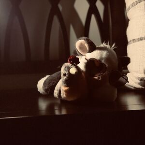 madelyn-anne-miller avatar