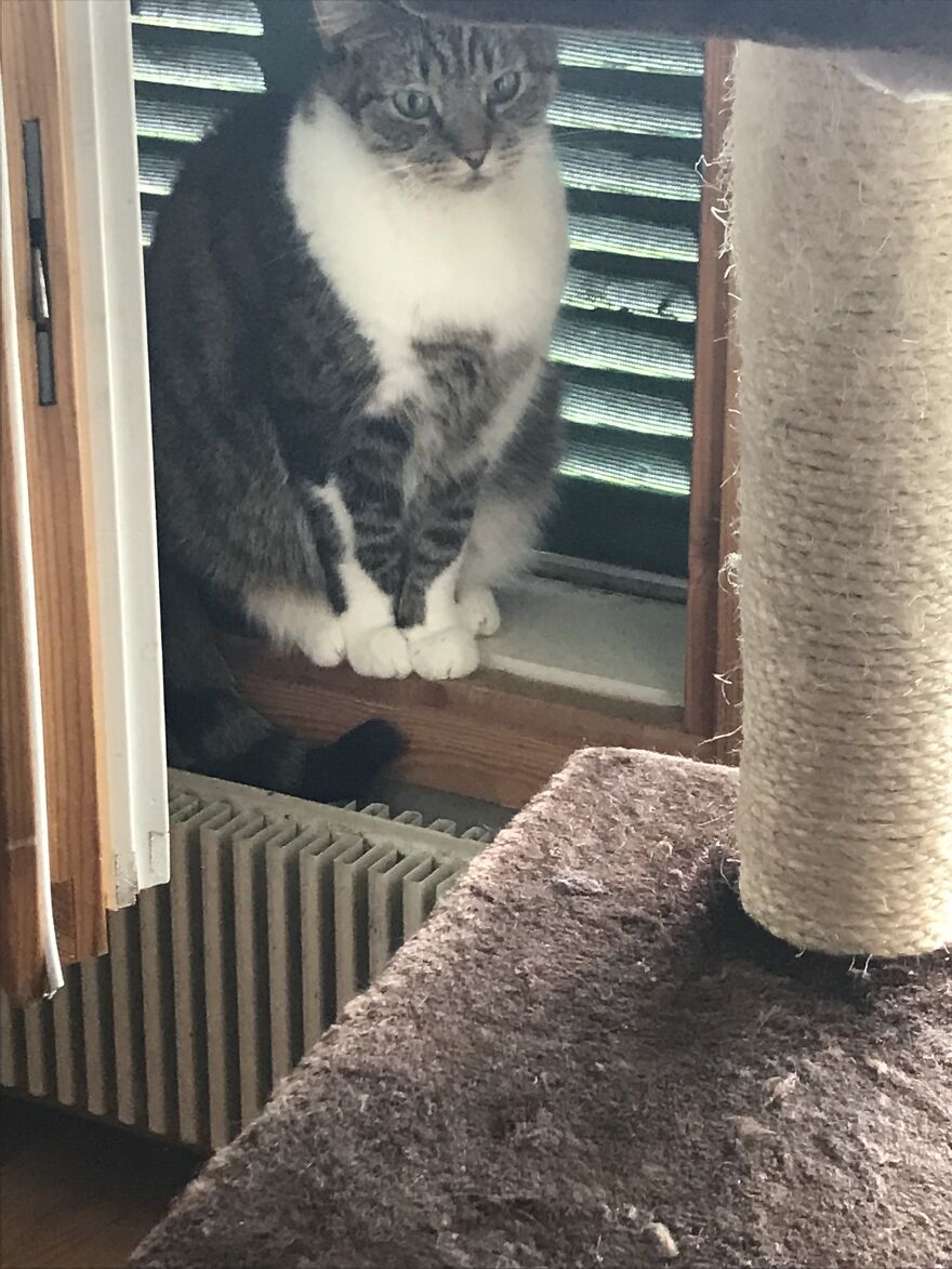 Love Is In The Hair Love Is In The Hair