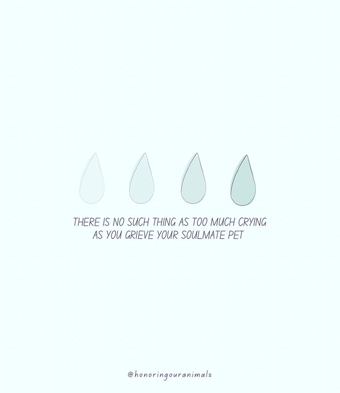 Sarma Melngailis Says She “Wasn’t Expecting” To Lose Her Dog Which She Sought Immortality For Sarma Melngailis Says She “Wasn’t Expecting” To Lose Her Dog Which She Sought Immortality For