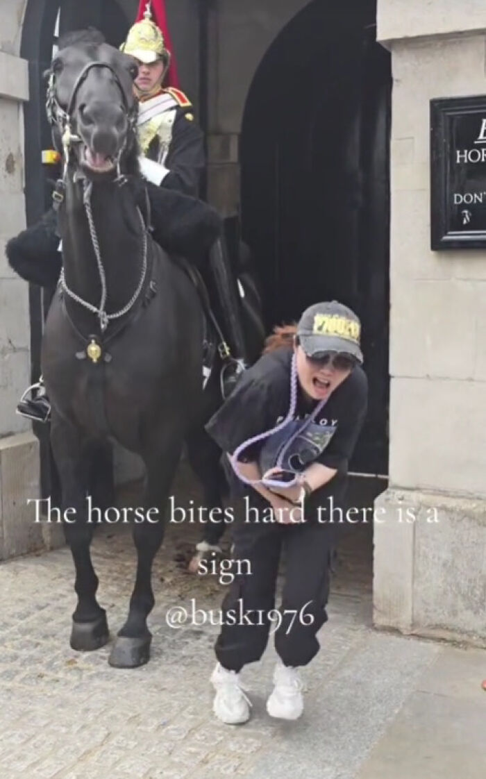 Tourist Bitten By King’s Guard Horse After Ignoring Warnings And Getting Too Close Tourist Bitten By King’s Guard Horse After Ignoring Warnings And Getting Too Close