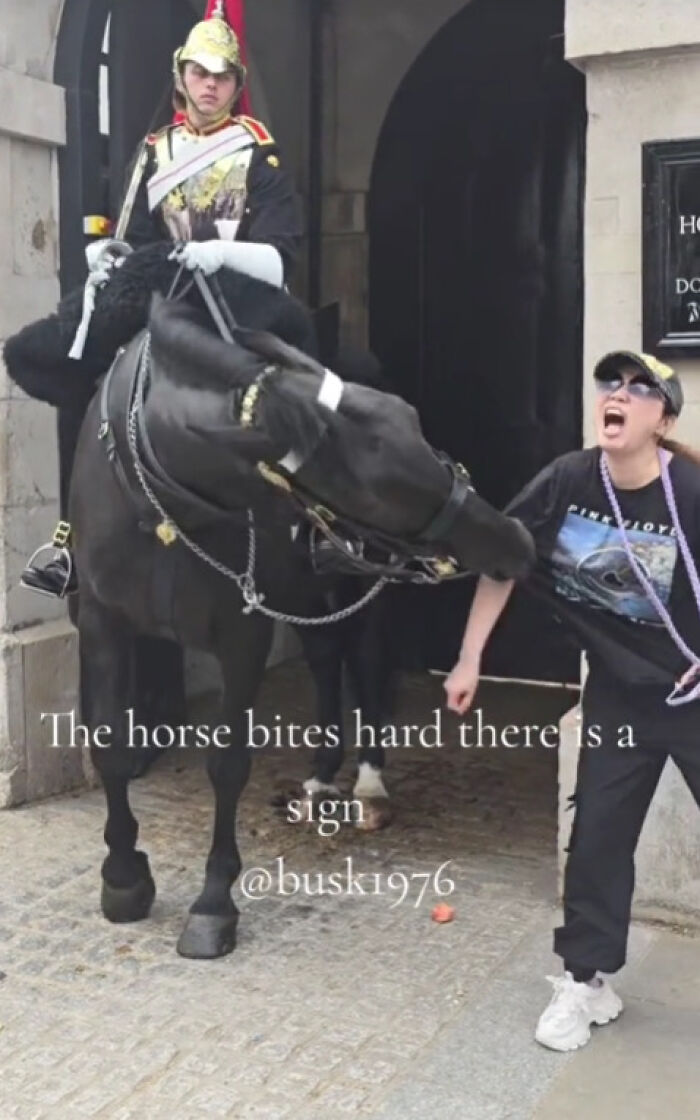 Tourist Bitten By King’s Guard Horse After Ignoring Warnings And Getting Too Close Tourist Bitten By King’s Guard Horse After Ignoring Warnings And Getting Too Close