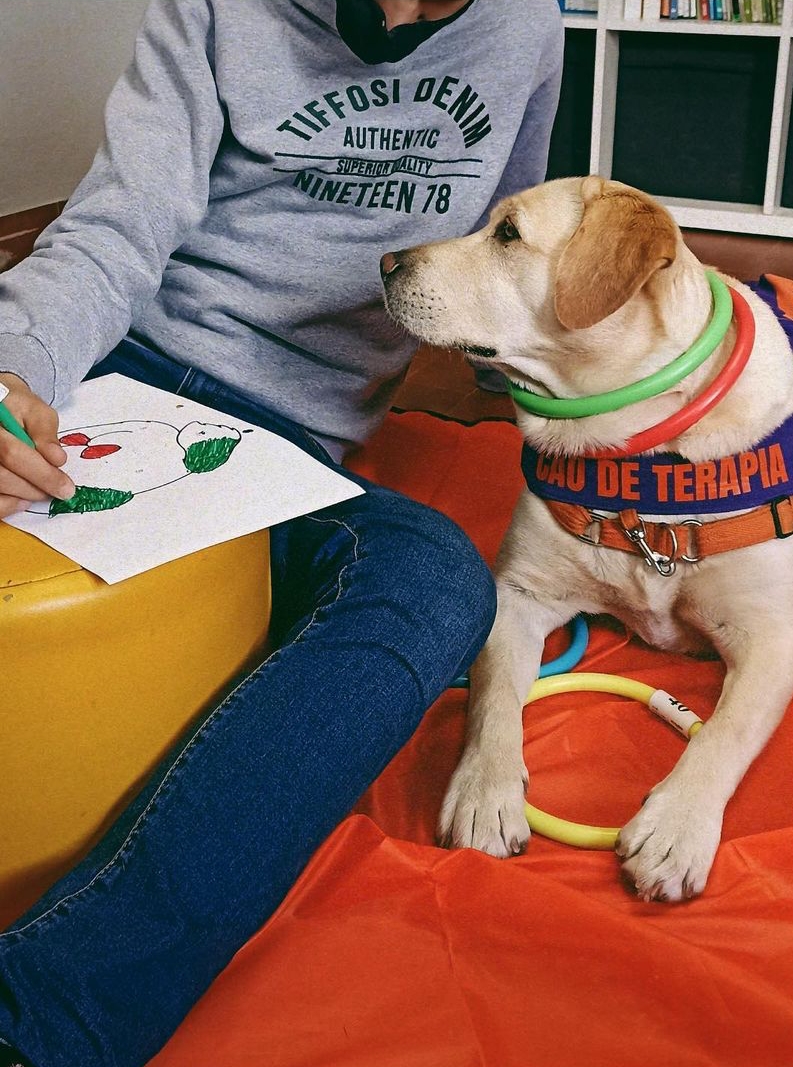 Meet Duke Ellington - A Therapy Cat Who Helps With Anxiety In San Francisco International Airport Meet Duke Ellington - A Therapy Cat Who Helps With Anxiety In San Francisco International Airport