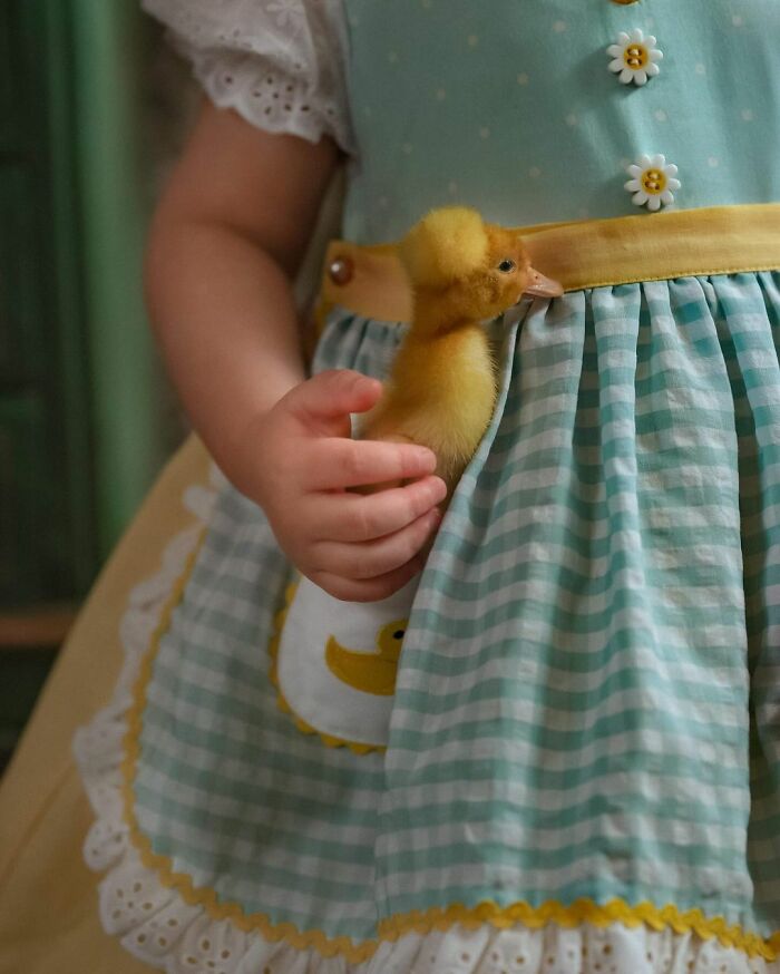 Woman Captures The Unconditional Love Between Her 3-Year-Old Daughter And Baby Ducklings Woman Captures The Unconditional Love Between Her 3-Year-Old Daughter And Baby Ducklings