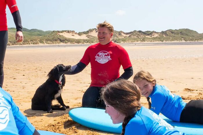 6-Legged ‘Mermaid’ Dog Was Finally Adopted By Surf Instructors For People With Disabilities 6-Legged ‘Mermaid’ Dog Was Finally Adopted By Surf Instructors For People With Disabilities