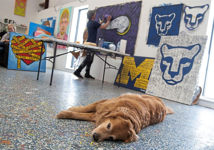 A Painting Of My Golden Retriever That Went Viral And Changed My Life Forever A Painting Of My Golden Retriever That Went Viral And Changed My Life Forever