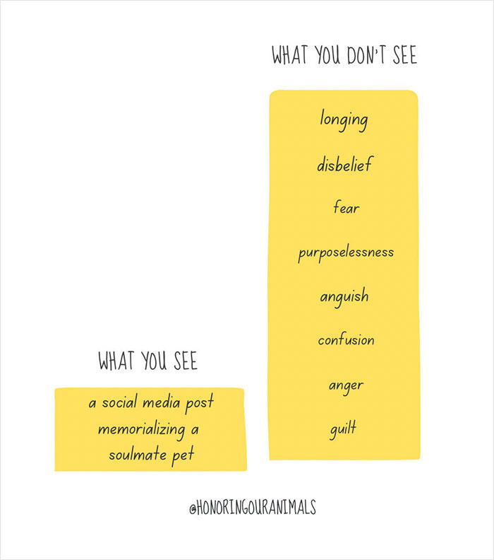 Sarma Melngailis Says She “Wasn’t Expecting” To Lose Her Dog Which She Sought Immortality For Sarma Melngailis Says She “Wasn’t Expecting” To Lose Her Dog Which She Sought Immortality For