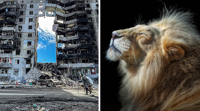 International Photo Awards 2023: Curator’s Highlights (13 Pics)
