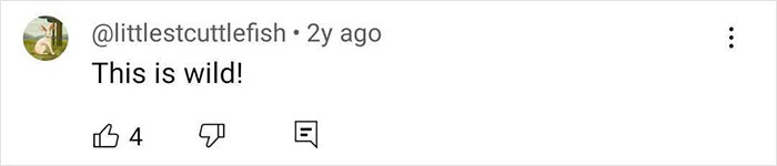 Comment saying "This is wild!" with thumbs up and down icons alongside. Comment saying "This is wild!" with thumbs up and down icons alongside.