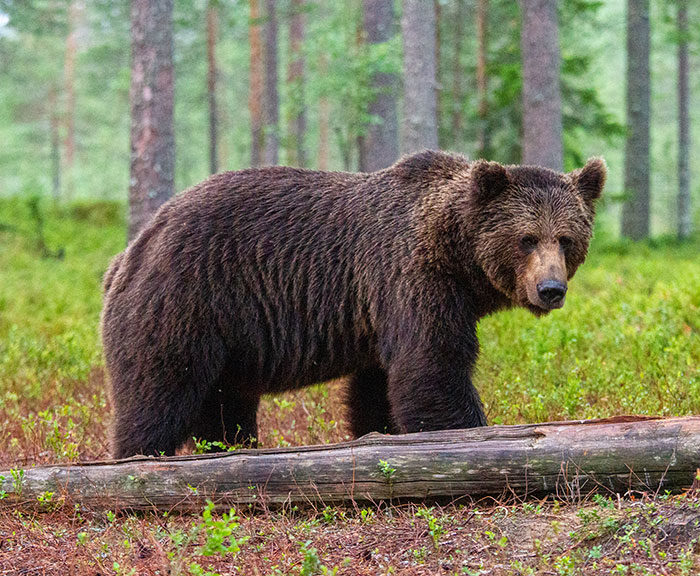 Internet Shows Zero Sympathy After Woman Complains Three Guys Watched Her Get Robbed Internet Shows Zero Sympathy After Woman Complains Three Guys Watched Her Get Robbed