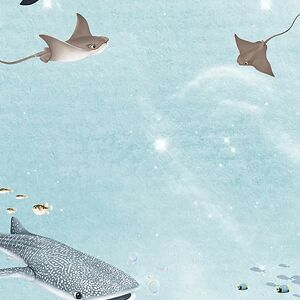 cmcdonough222 avatar