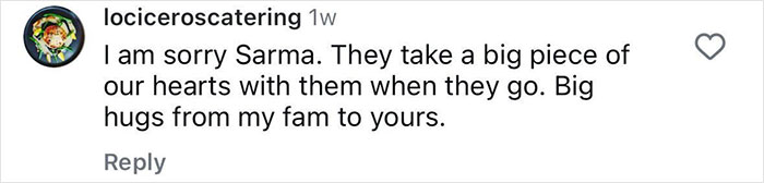 Sarma Melngailis Says She “Wasn’t Expecting” To Lose Her Dog Which She Sought Immortality For Sarma Melngailis Says She “Wasn’t Expecting” To Lose Her Dog Which She Sought Immortality For