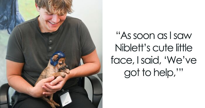 Pup With A Rare And Dangerous Condition Gets A Custom 3D Printed Helmet To Protect Him