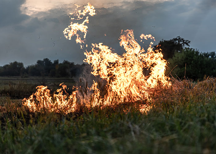 Company Dares Farmer To Take Them To Court Over The Damages They Caused, Regrets It Deeply Company Dares Farmer To Take Them To Court Over The Damages They Caused, Regrets It Deeply
