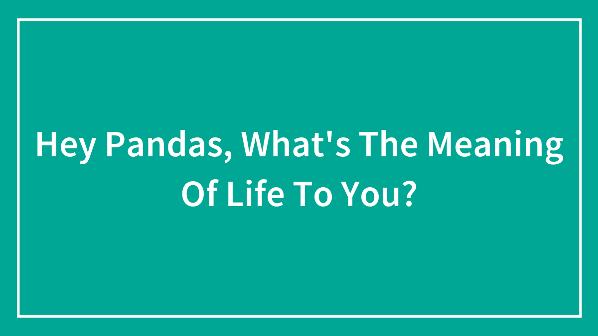 Hey Pandas, What’s The Meaning Of Life To You? (Closed)