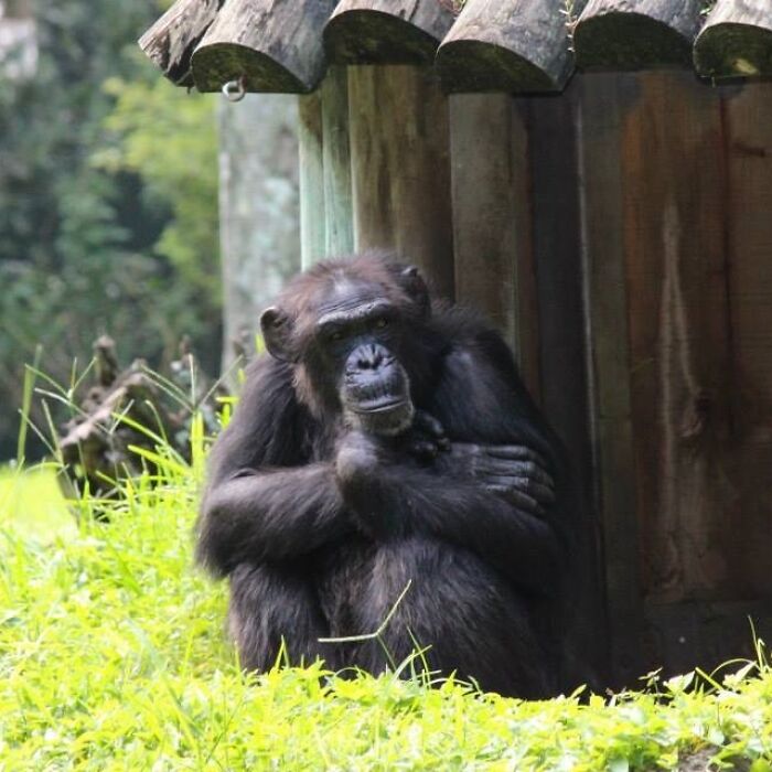 I Captured Florida’s Wildlife (5 Pics)