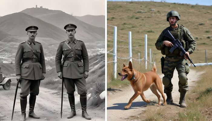 The War Of The Stray Dog (7 Pics)