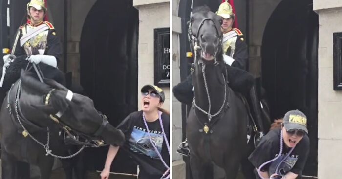 Tourist Bitten By King’s Guard Horse After Ignoring Warnings And Getting Too Close