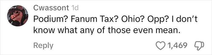 Comment expressing confusion about Gen Alpha slang terms like "Podium" and "Opp? Comment expressing confusion about Gen Alpha slang terms like "Podium" and "Opp?