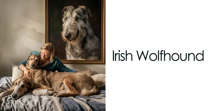 15 Dog Breeds With The Lowest Lifespans