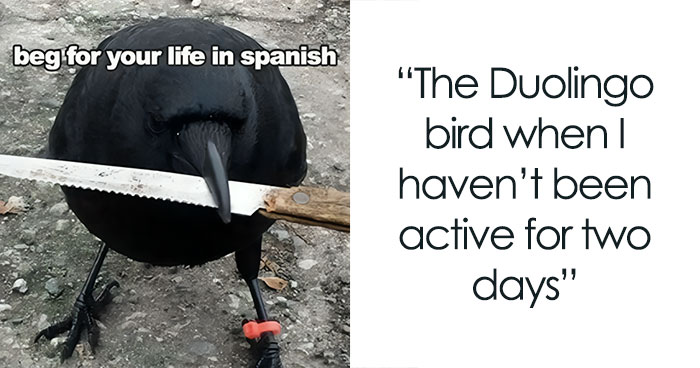 30 Hilariously Threatening Duolingo Memes