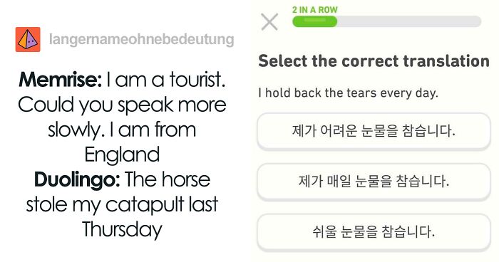 30 Hilariously Threatening Duolingo Memes
