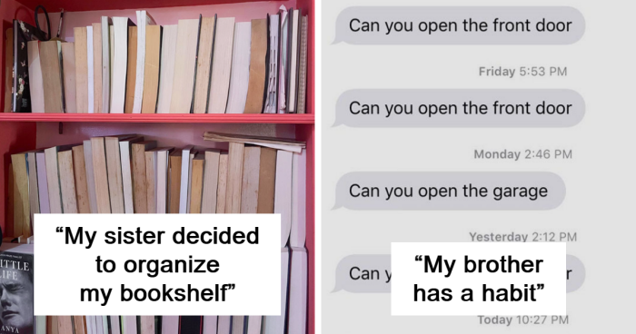 50 Pics That Reveal The Drama That Happens Between Siblings