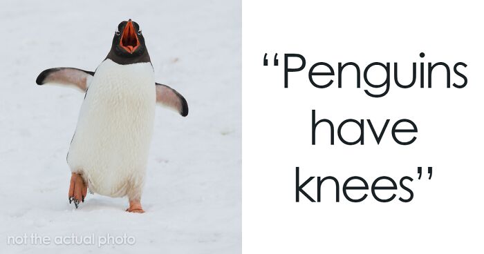 People Share Interesting Wildlife Facts That Not A Lot Of People Know, Here Are The 40 Best Ones