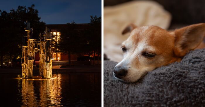 My First Shoot With The Canon 5d Mark II (9 Pics)