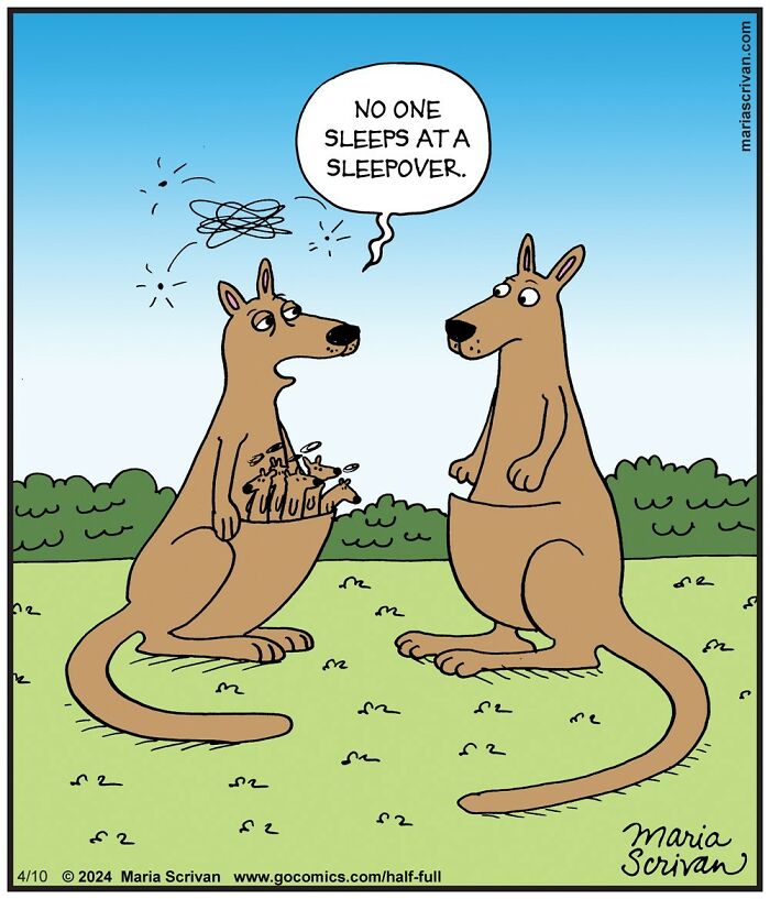 Funny comic featuring kangaroos with humorous characters and absurd situations in a colorful outdoor setting