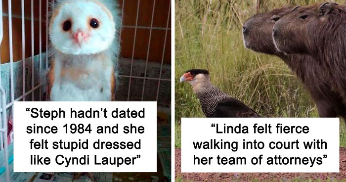 50 Pictures Of Birds That Are Probably Having A Worse Day Than You