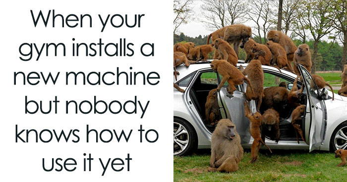 FB Page “Gym Fail Nation” Is Dedicated To Faithful Gym Goers And They Shared These 30 Funny Memes