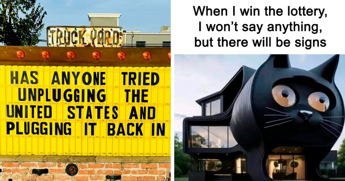 50 Funny Memes For Those Who Could Really Use Some Laughter Today (New ...