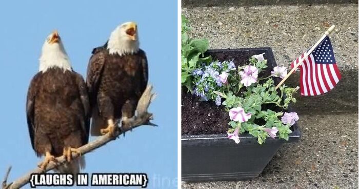 Forget Basic BBQs: 21 Essentials To Take Your 4th Of July Party To The Next Level