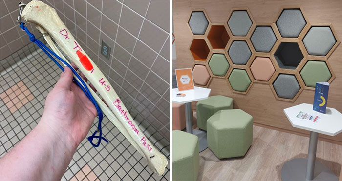 50 Ingenious Things Students Have Spotted At Their Schools And Universities (New Pics)