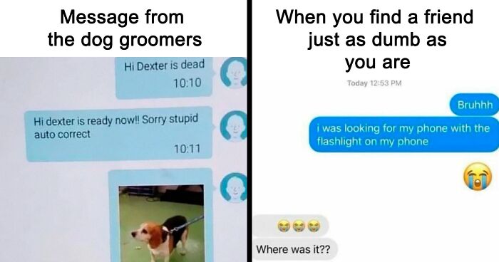 50 Funny Memes For Those Who Could Really Use Some Mind-Numbing Humor Today