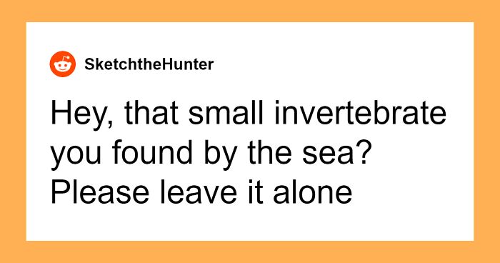 A Lot Of People Don’t Realize How Dangerous These 50 Things Are