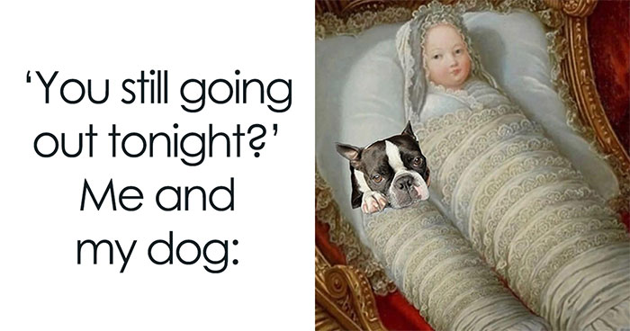 40 Memes About Mostly Everything That You May Find Painfully Relatable