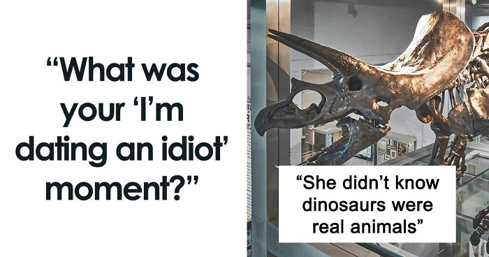 “Couldn’t Possibly Be Bears”: 45 People Who Discovered That They Were Dating Idiots