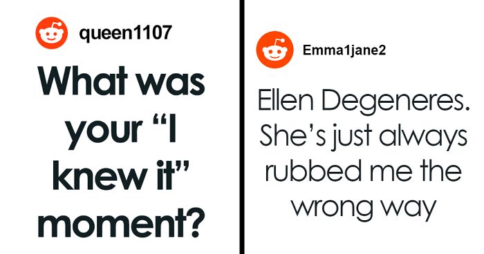 30 Perfect Examples Of “I Knew It” Moments