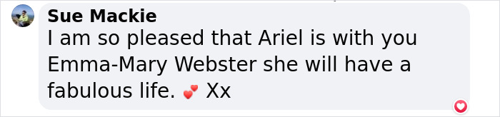 6-Legged ‘Mermaid’ Dog Was Finally Adopted By Surf Instructors For People With Disabilities 6-Legged ‘Mermaid’ Dog Was Finally Adopted By Surf Instructors For People With Disabilities