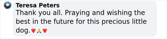 Pup With A Rare And Dangerous Condition Gets A Custom 3D Printed Helmet To Protect Him Pup With A Rare And Dangerous Condition Gets A Custom 3D Printed Helmet To Protect Him