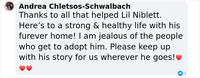Pup With A Rare And Dangerous Condition Gets A Custom 3D Printed Helmet To Protect Him Pup With A Rare And Dangerous Condition Gets A Custom 3D Printed Helmet To Protect Him