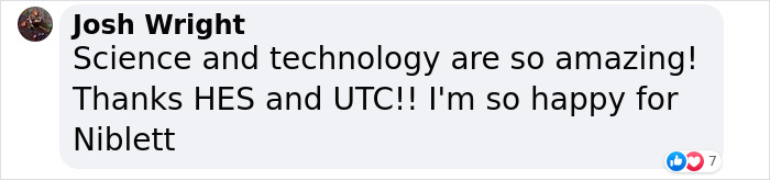 Pup With A Rare And Dangerous Condition Gets A Custom 3D Printed Helmet To Protect Him Pup With A Rare And Dangerous Condition Gets A Custom 3D Printed Helmet To Protect Him