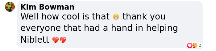 Pup With A Rare And Dangerous Condition Gets A Custom 3D Printed Helmet To Protect Him Pup With A Rare And Dangerous Condition Gets A Custom 3D Printed Helmet To Protect Him