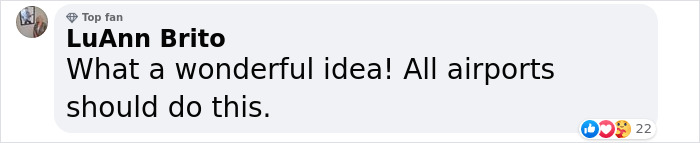 Meet Duke Ellington - A Therapy Cat Who Helps With Anxiety In San Francisco International Airport Meet Duke Ellington - A Therapy Cat Who Helps With Anxiety In San Francisco International Airport