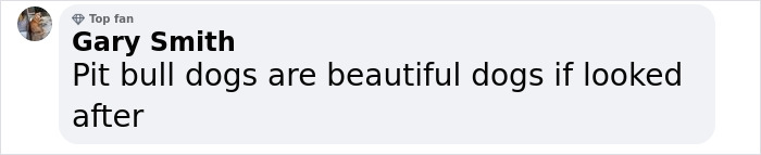 Friendship Between Two Pit Bulls And Wild Hummingbird Is Melting Hearts Online Friendship Between Two Pit Bulls And Wild Hummingbird Is Melting Hearts Online