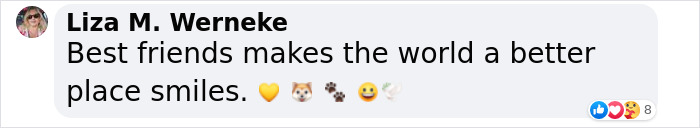 Friendship Between Two Pit Bulls And Wild Hummingbird Is Melting Hearts Online Friendship Between Two Pit Bulls And Wild Hummingbird Is Melting Hearts Online