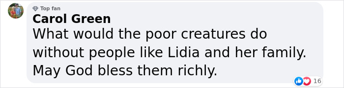 A Woman Lays Her Dear Old Dog To Rest When Suddenly Abandoned Puppy Appears Out Of Nowhere A Woman Lays Her Dear Old Dog To Rest When Suddenly Abandoned Puppy Appears Out Of Nowhere