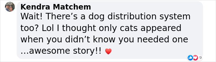 A Woman Lays Her Dear Old Dog To Rest When Suddenly Abandoned Puppy Appears Out Of Nowhere A Woman Lays Her Dear Old Dog To Rest When Suddenly Abandoned Puppy Appears Out Of Nowhere