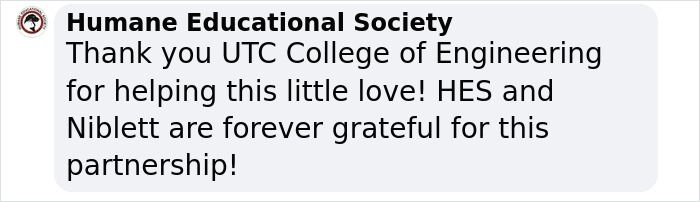 Pup With A Rare And Dangerous Condition Gets A Custom 3D Printed Helmet To Protect Him Pup With A Rare And Dangerous Condition Gets A Custom 3D Printed Helmet To Protect Him